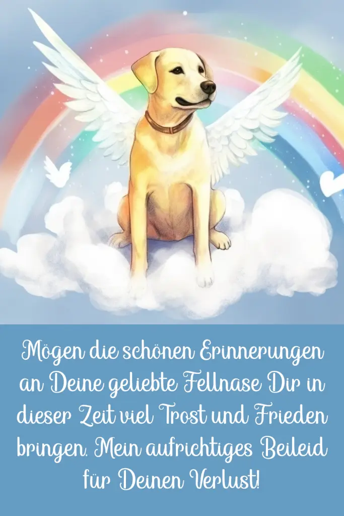 Condolence image of Beatrice Mit Samba, Buddy, Bob im Herzen 🖤