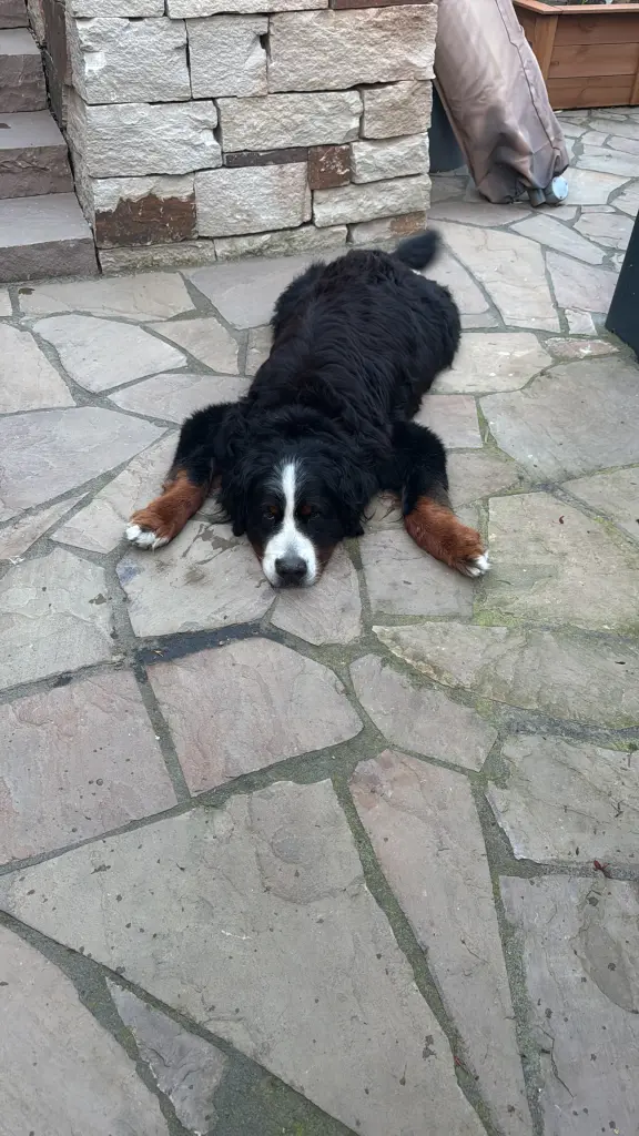 Condolence image of Karl