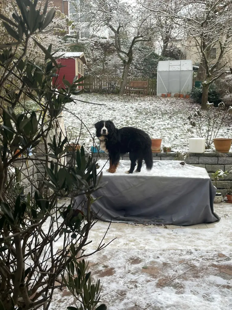Condolence image of Lenni