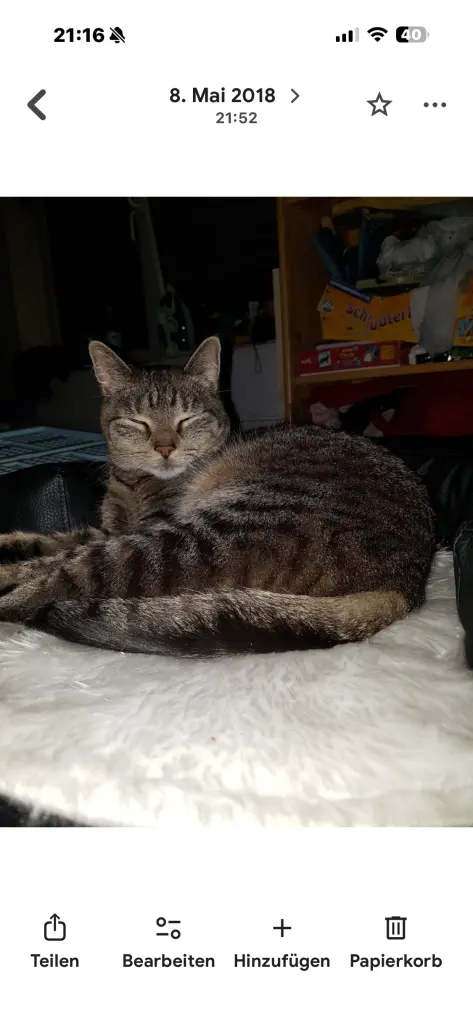 Image from Tigger