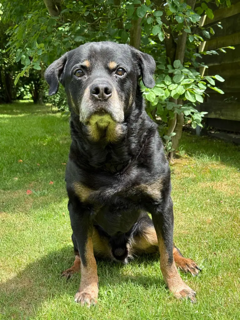 Bild von Macki (Akando)