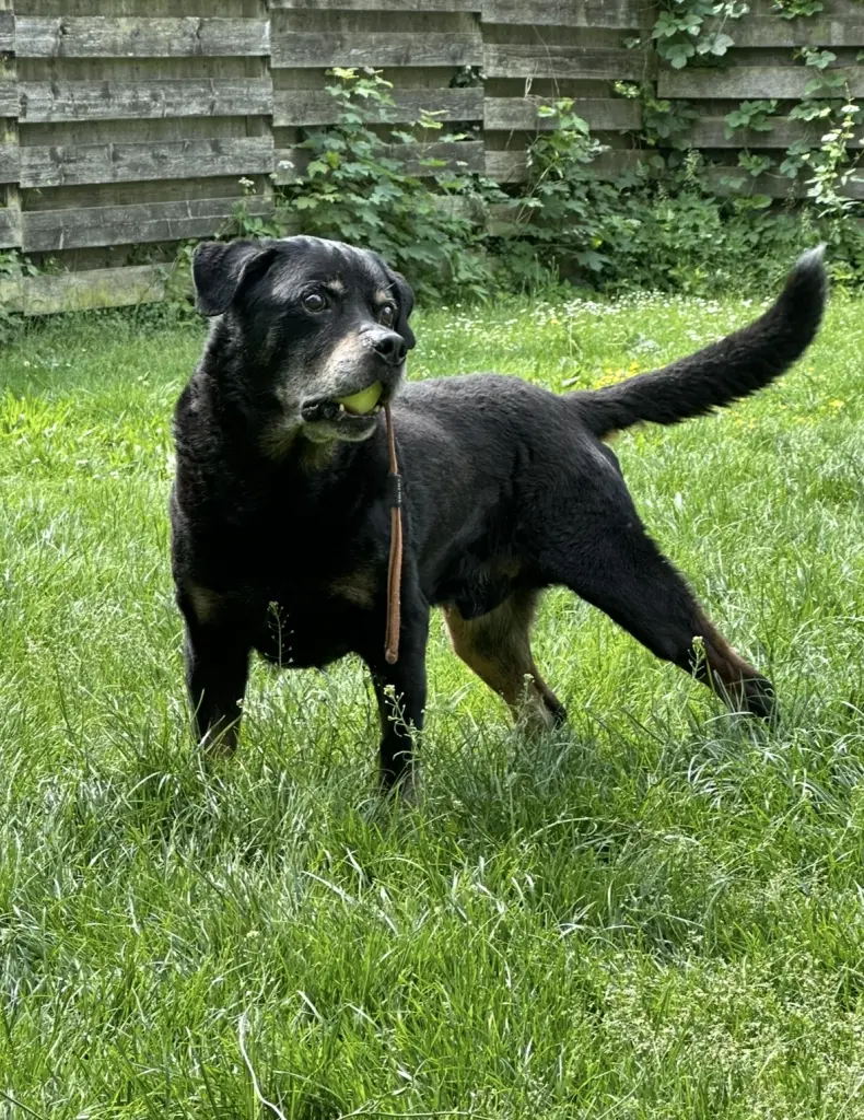 Bild von Macki (Akando)