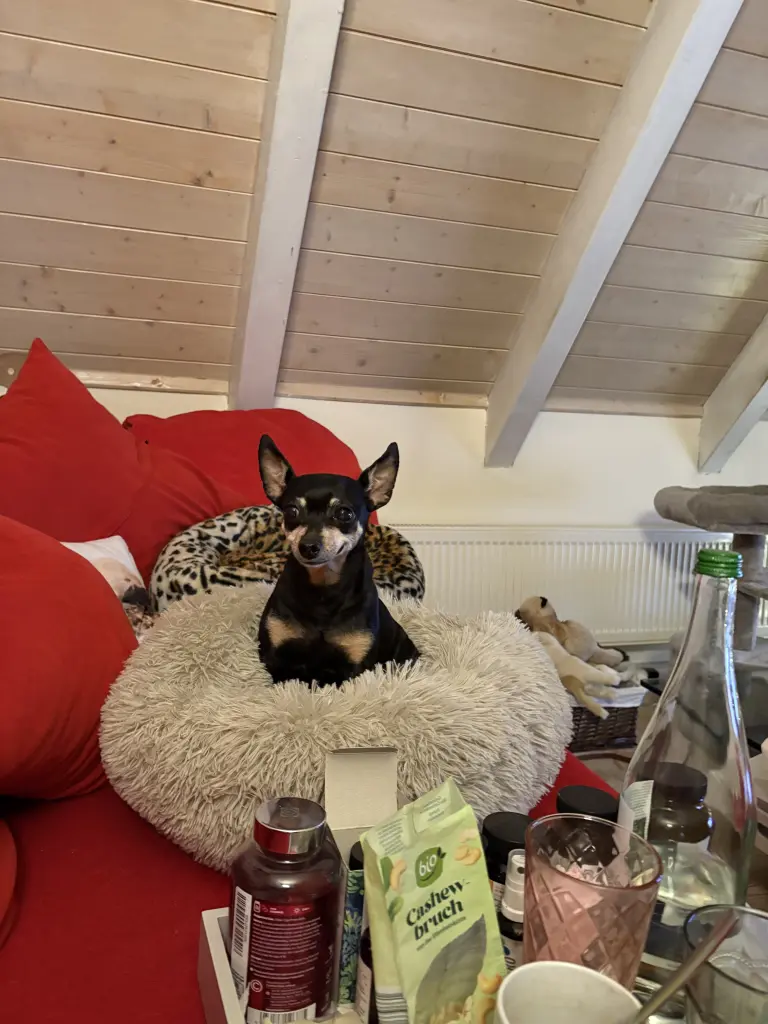 Bild von Lucy