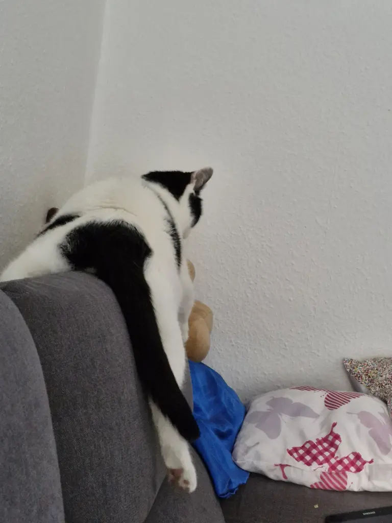 Relaxt