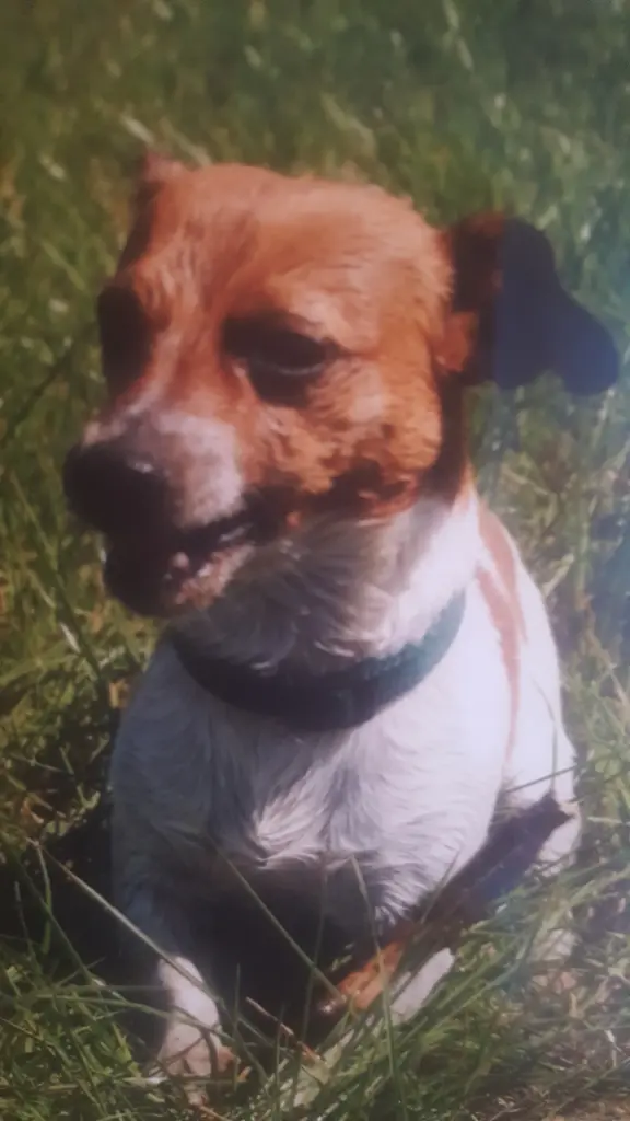 Condolence image of Margret
