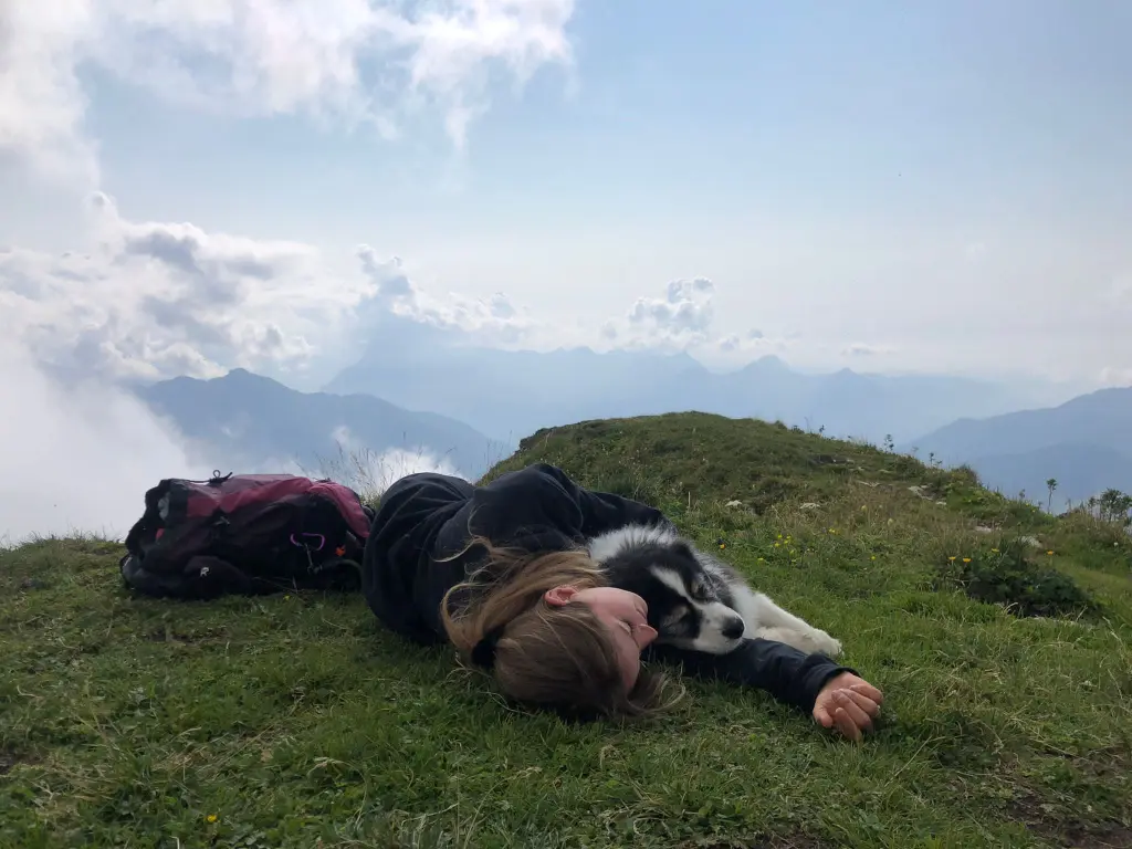 Image from Sky