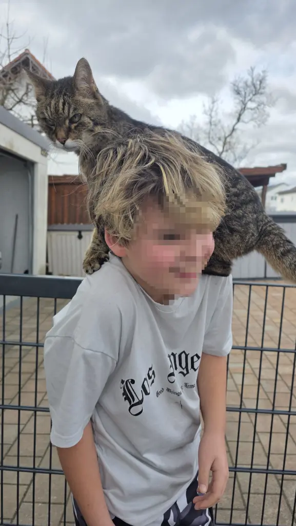 Bis zum Schluss hat sie meinen Bruder geliebt und war ein Papagei 🦜