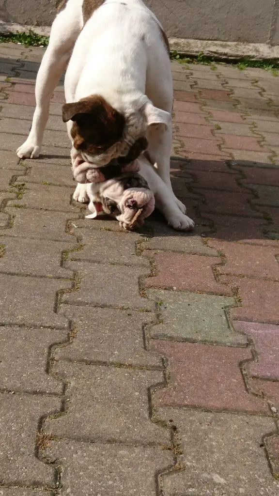 Andachtsbild von Samantha Harttung a