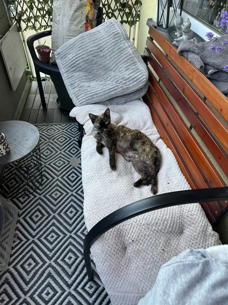 Unsere entspannte Maus