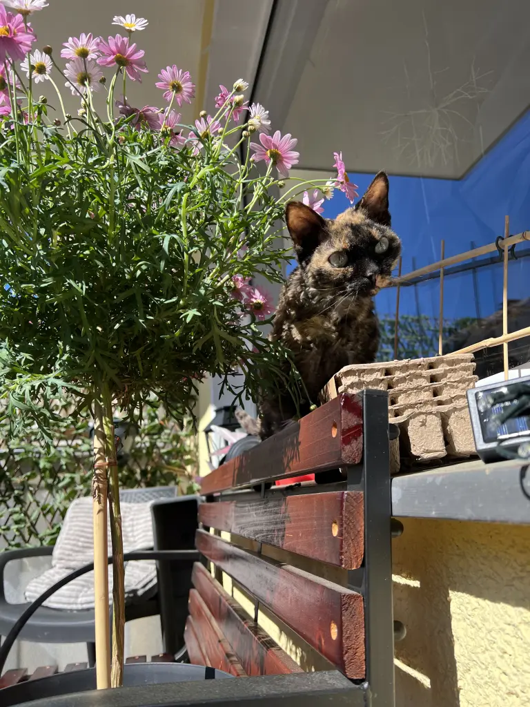 Unsere hübsche Maus