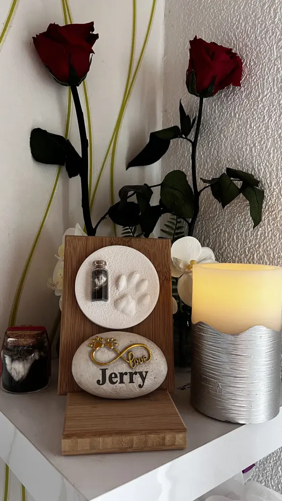 Image from Jerry