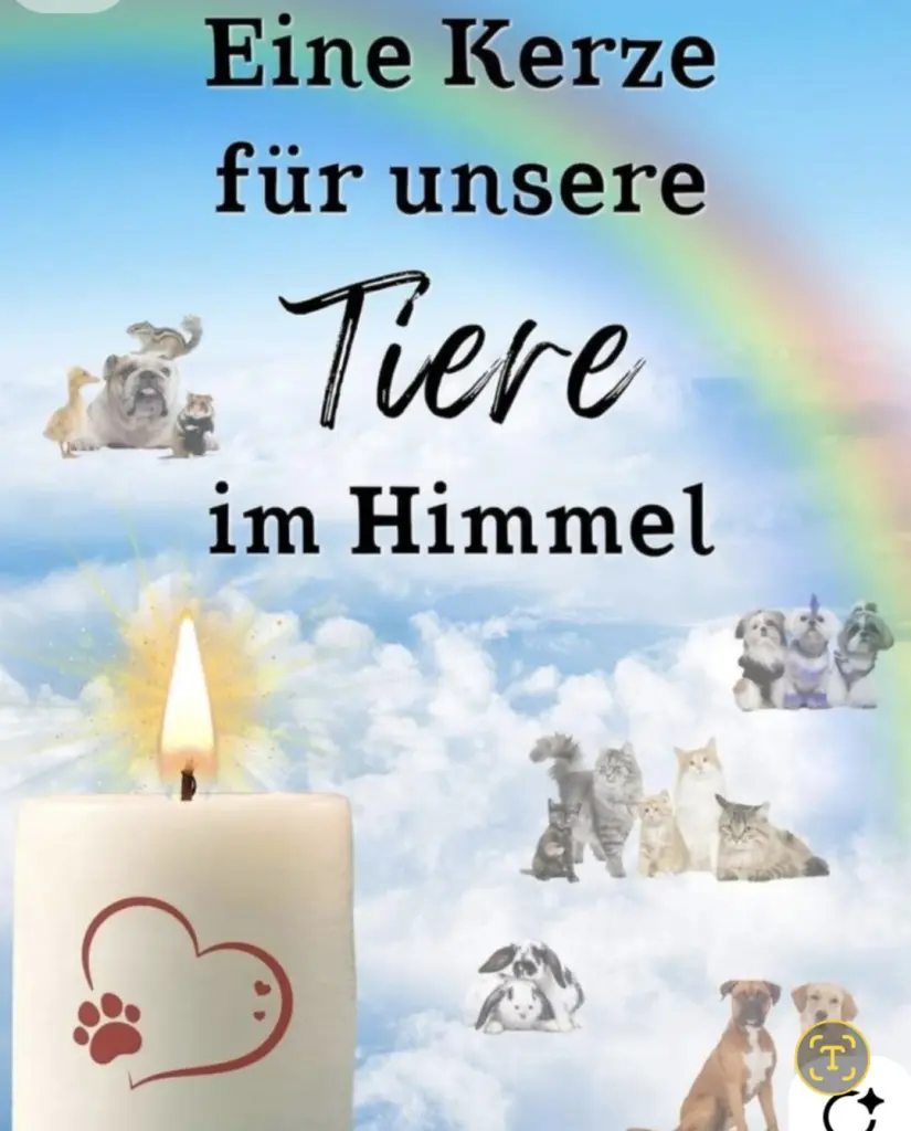 Condolence image of Stefanie Schaffer