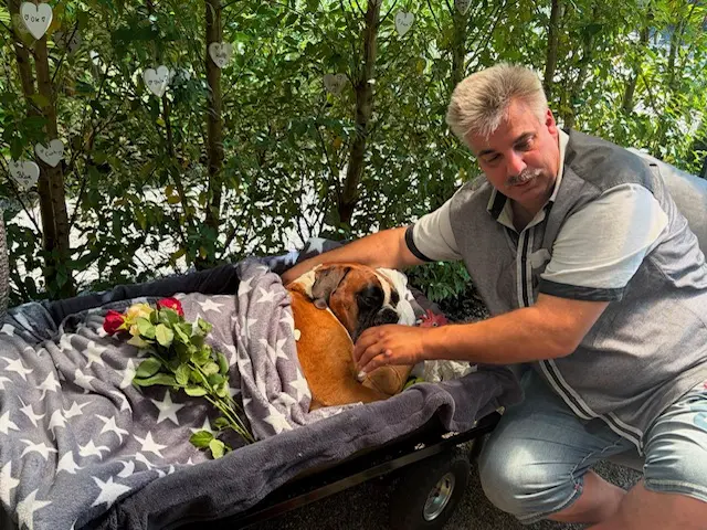 Condolence image of Dein Papa