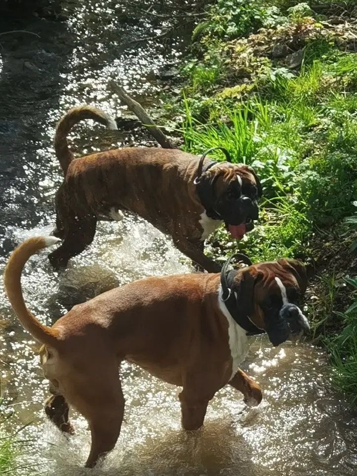 Condolence image of Mama an Monty