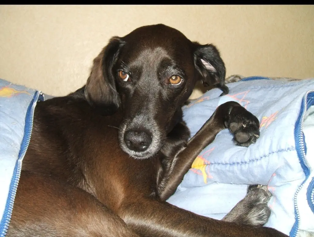 Condolence image of Erika Cremer