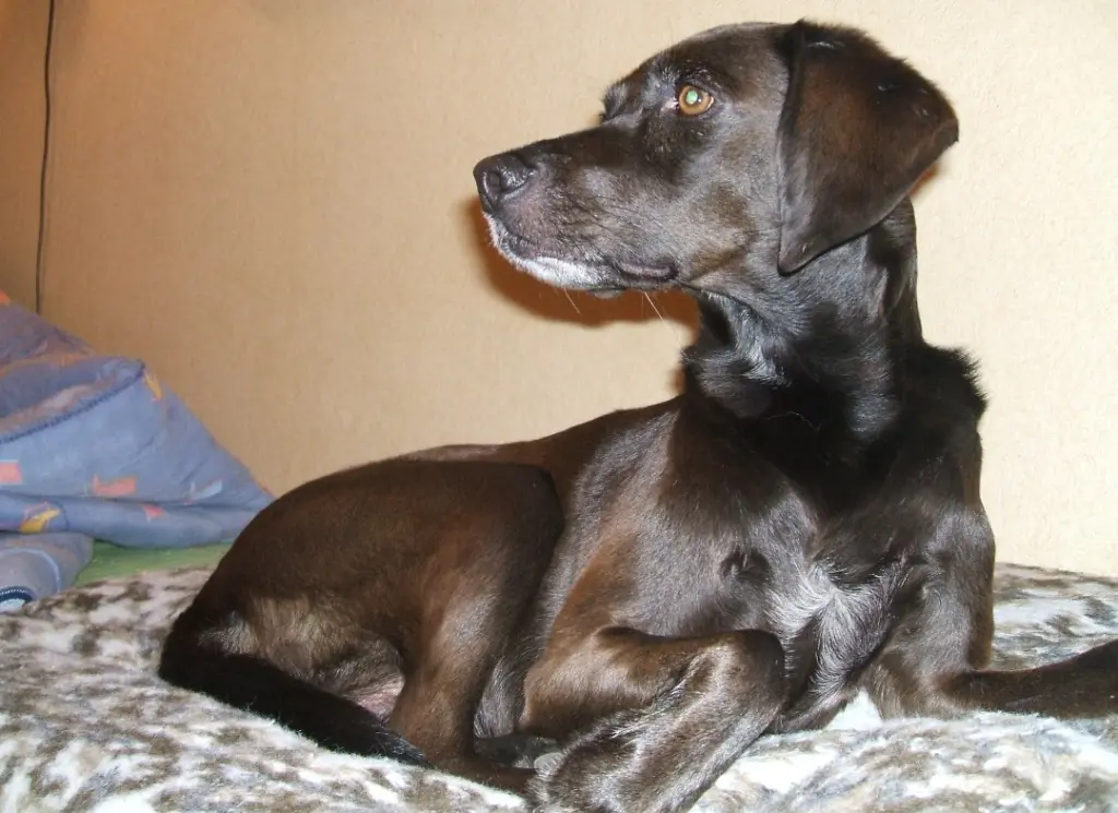 Condolence image of Erika Cremer