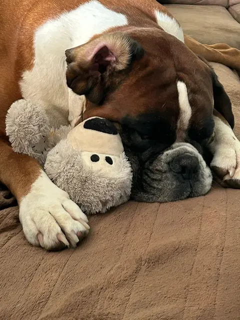 Image from Monty