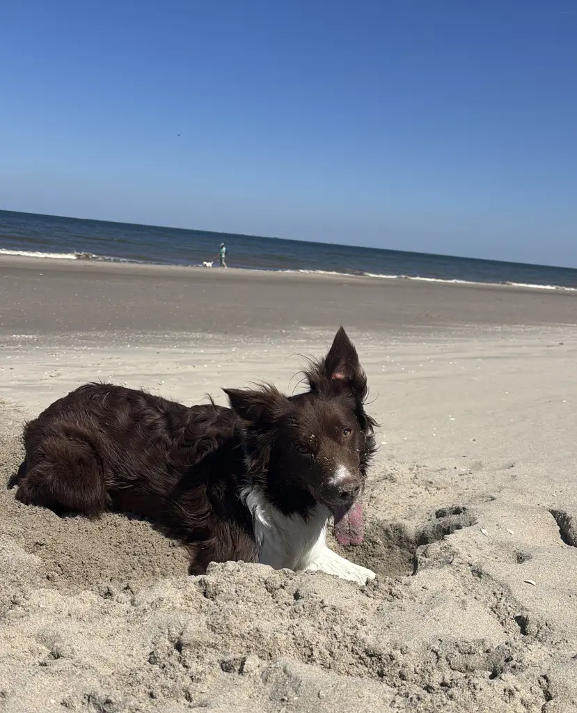 Bild von Hope