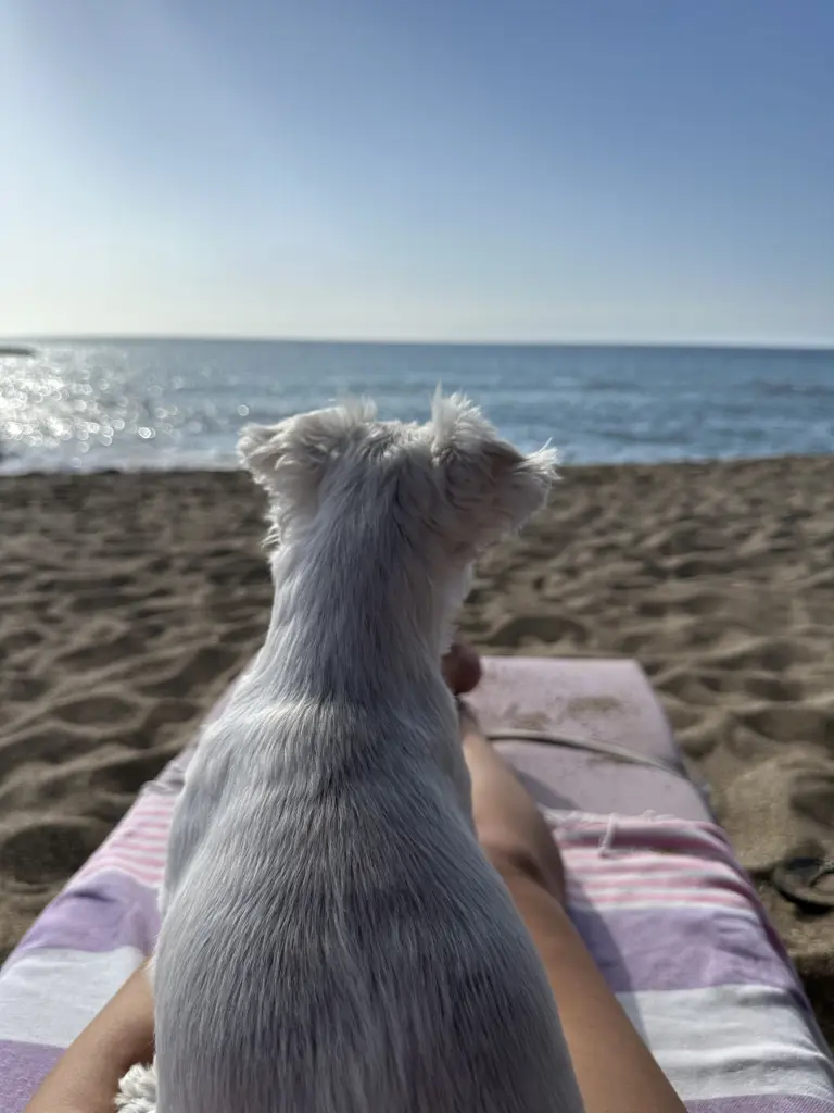 Unser letzter gemeinsamer Urlaub auf Kreta 🤍