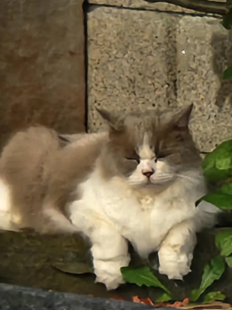 Einfach nur Relaxen