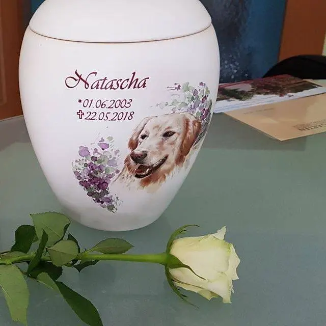 Image from Natascha