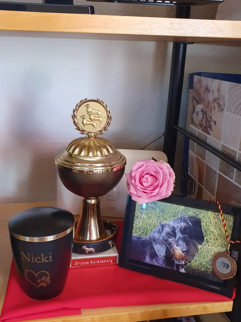 Bild von Nicki