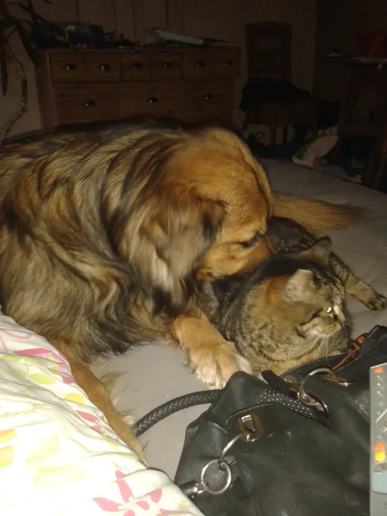 Condolence image of Nadi mit Bruno und Friederike im❤