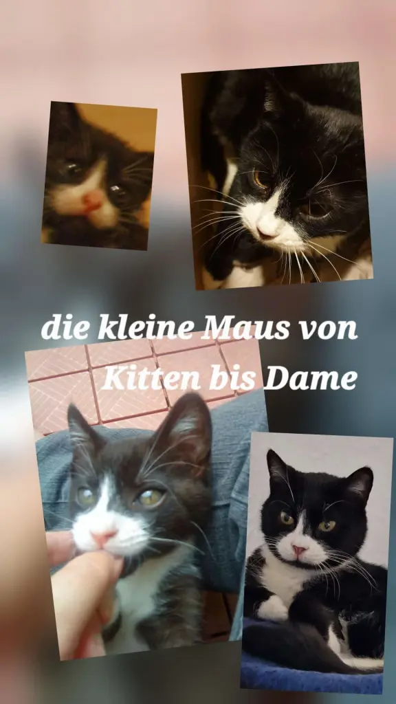 Andachtsbild von Frank-Peter Döbberthien
