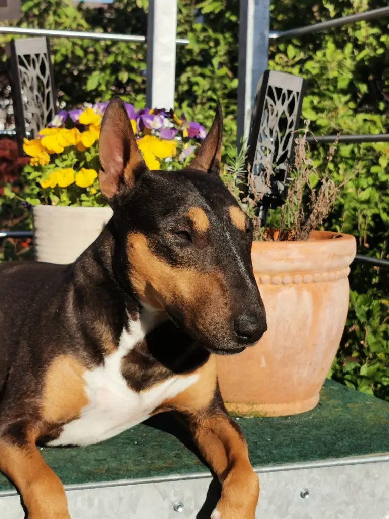 Bild von Jack