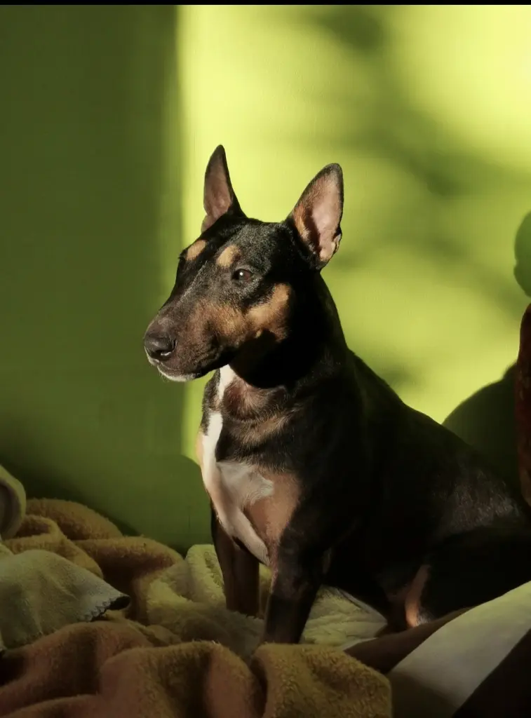 Bild von Jack