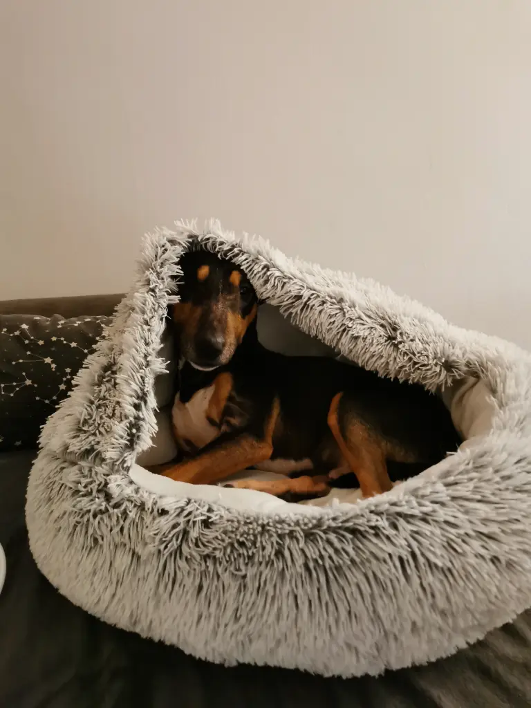Bild von Jack