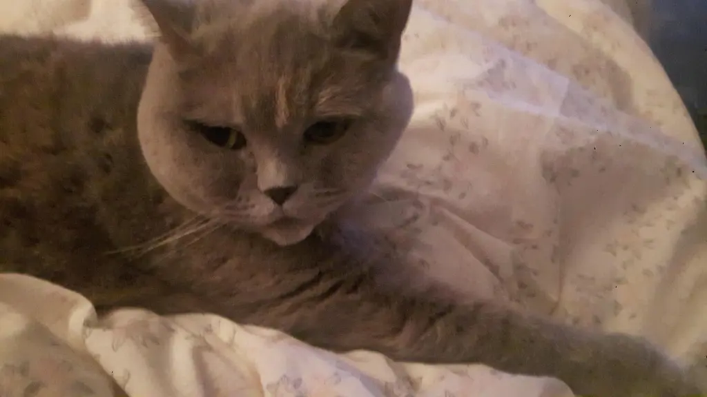 Image from Sooky