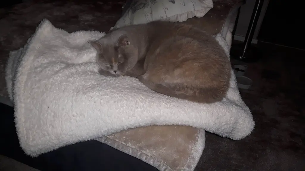 Image from Sooky