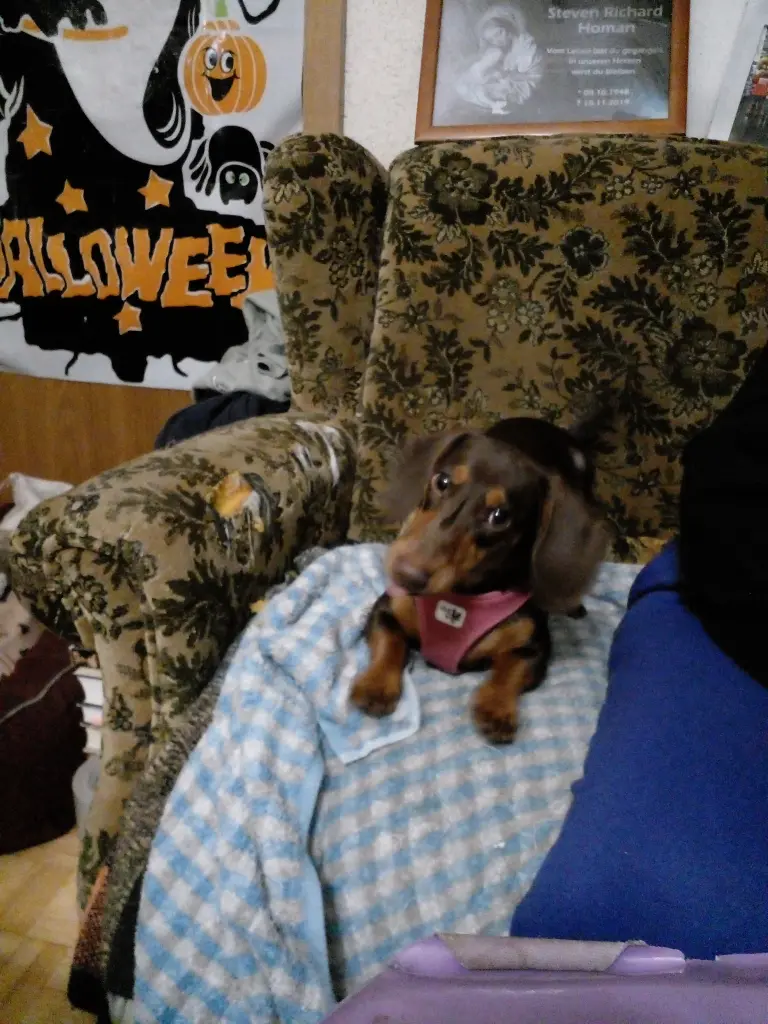 Auf der couch