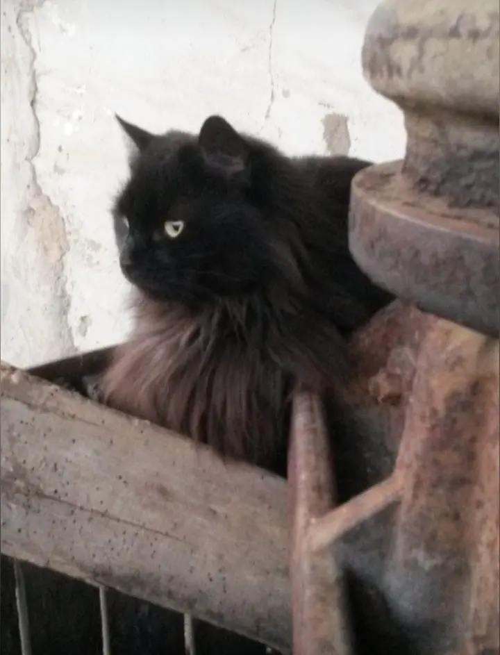 Condolence image of Marco