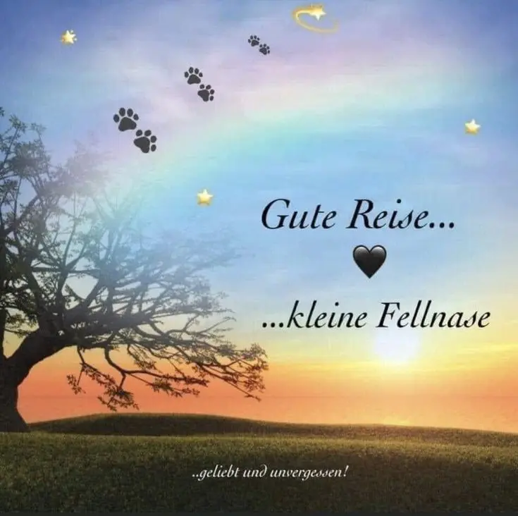 Andachtsbild von Gute Reise zu den Sternen✨️kleine KIKI💖