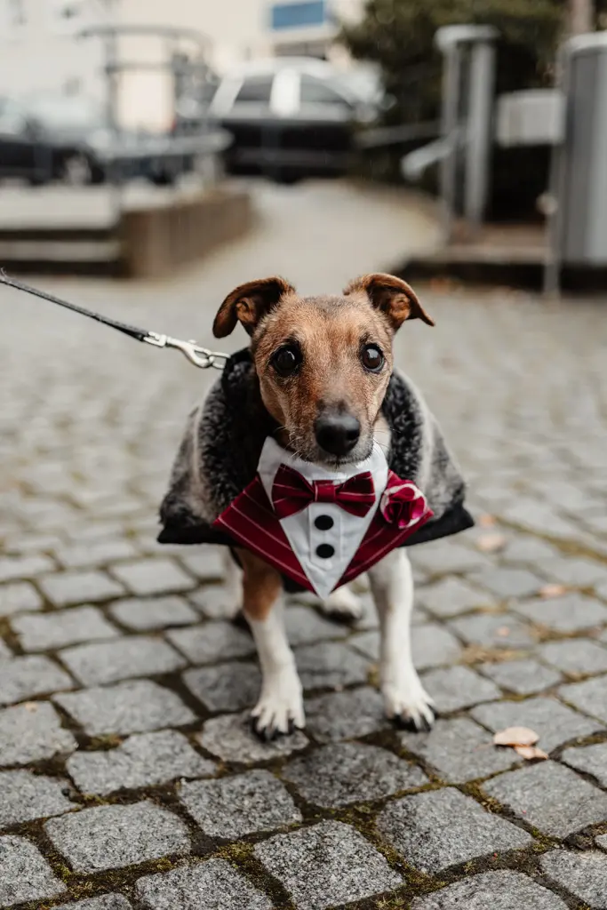 Bild von Jacky