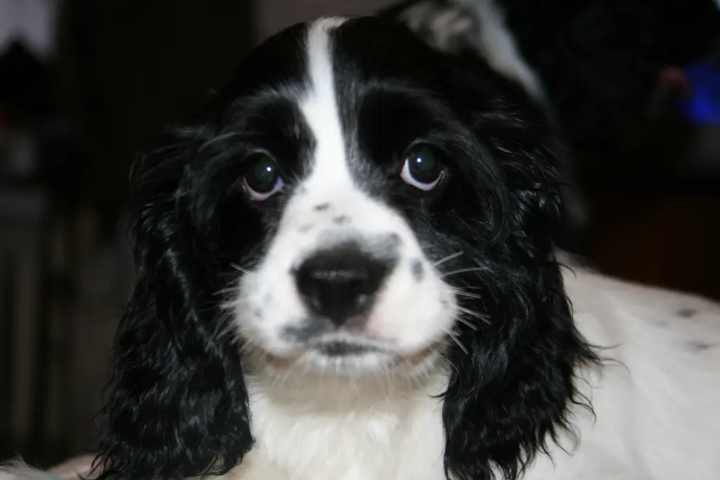 Bild von Sophia
