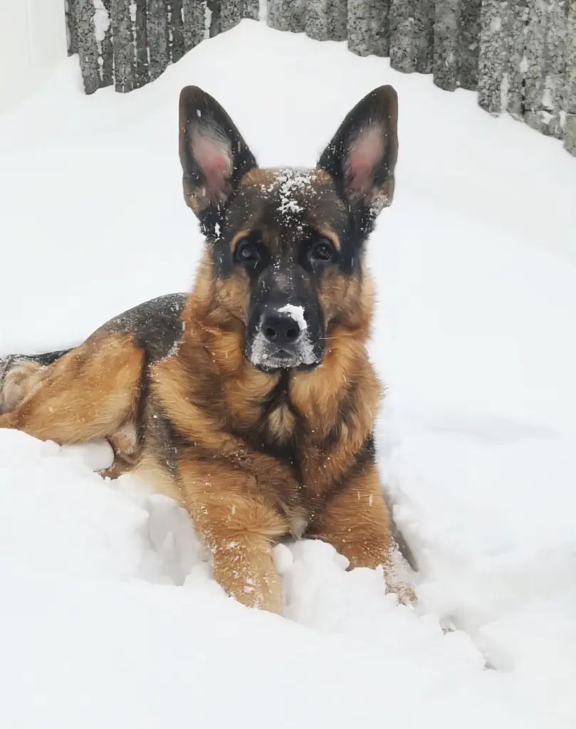 Bild von Zeus