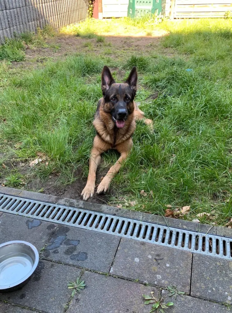 Bild von Zeus