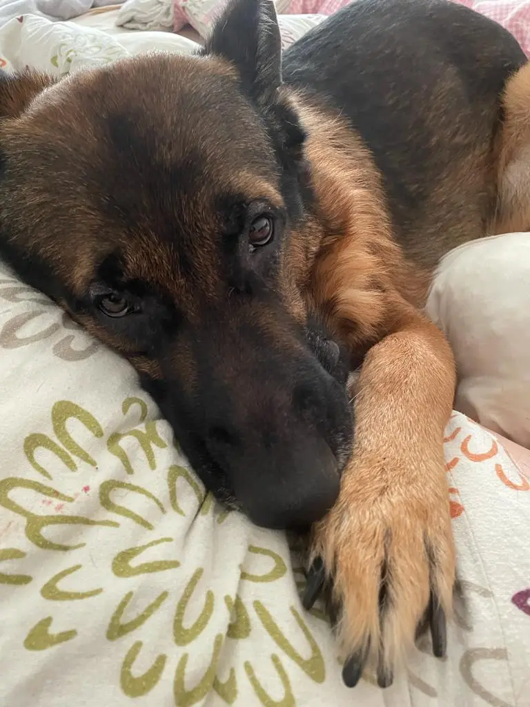 Bild von Zeus