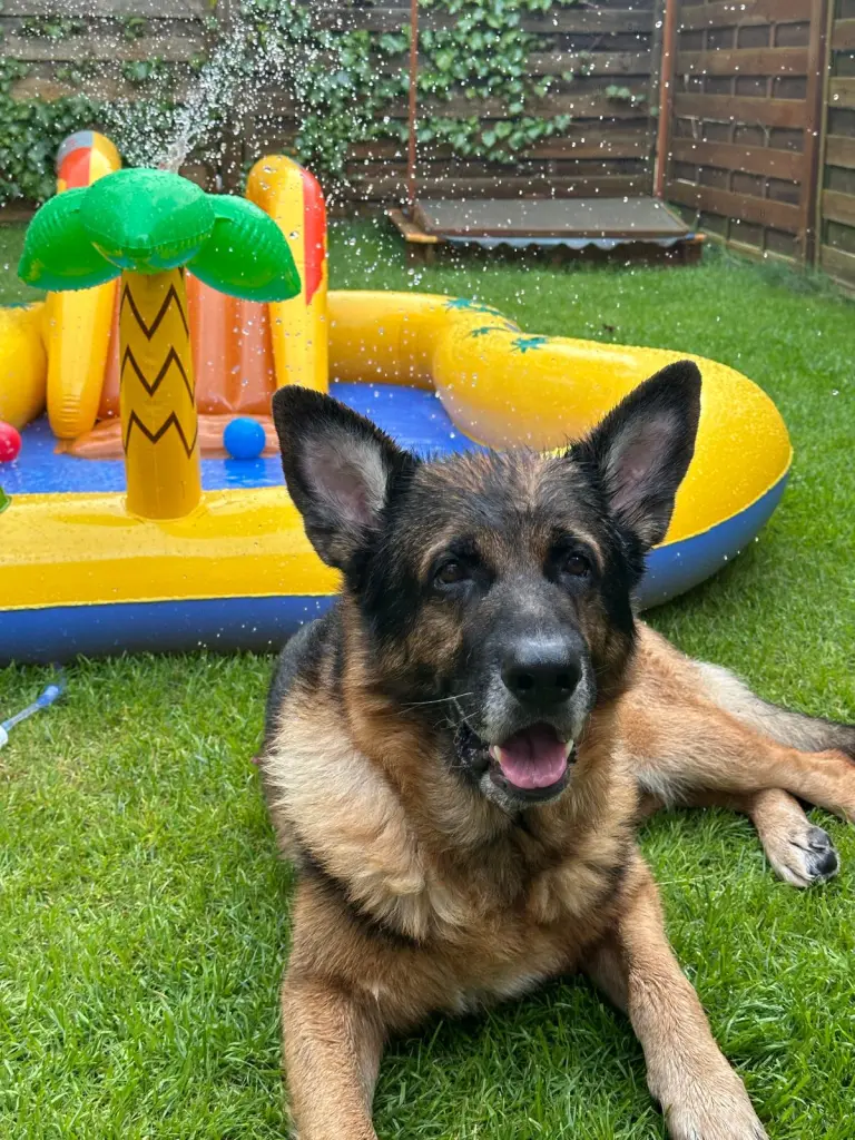 Bild von Zeus