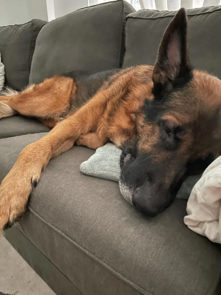 Bild von Zeus