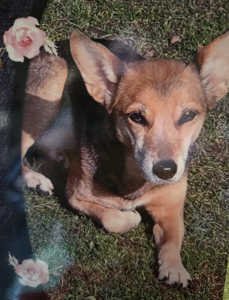 Bild von Sally