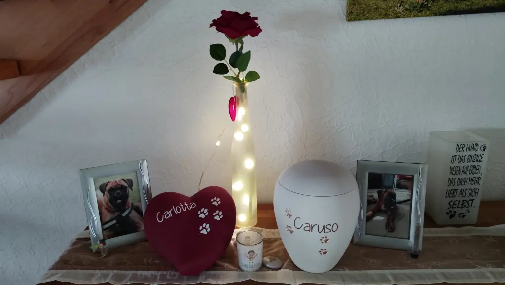Caruso und Carlotta wieder vereint