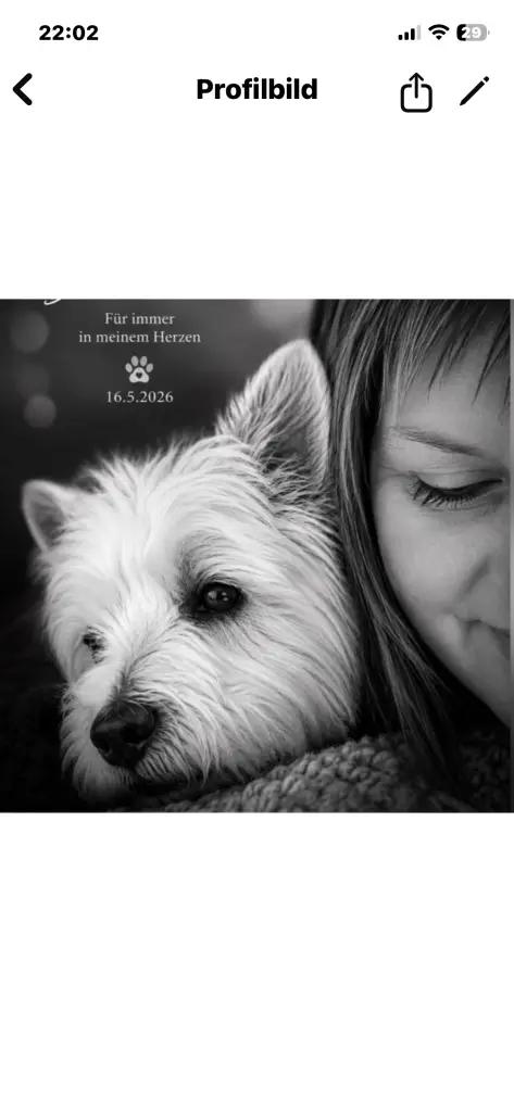 Image from Dominika
