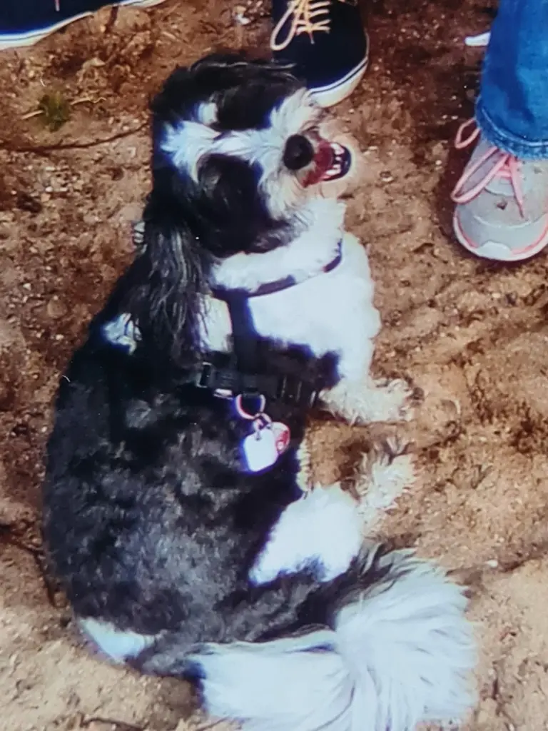 Bild von Pepper