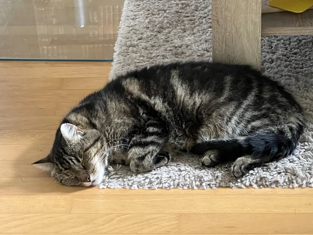 Bild von Morpheus