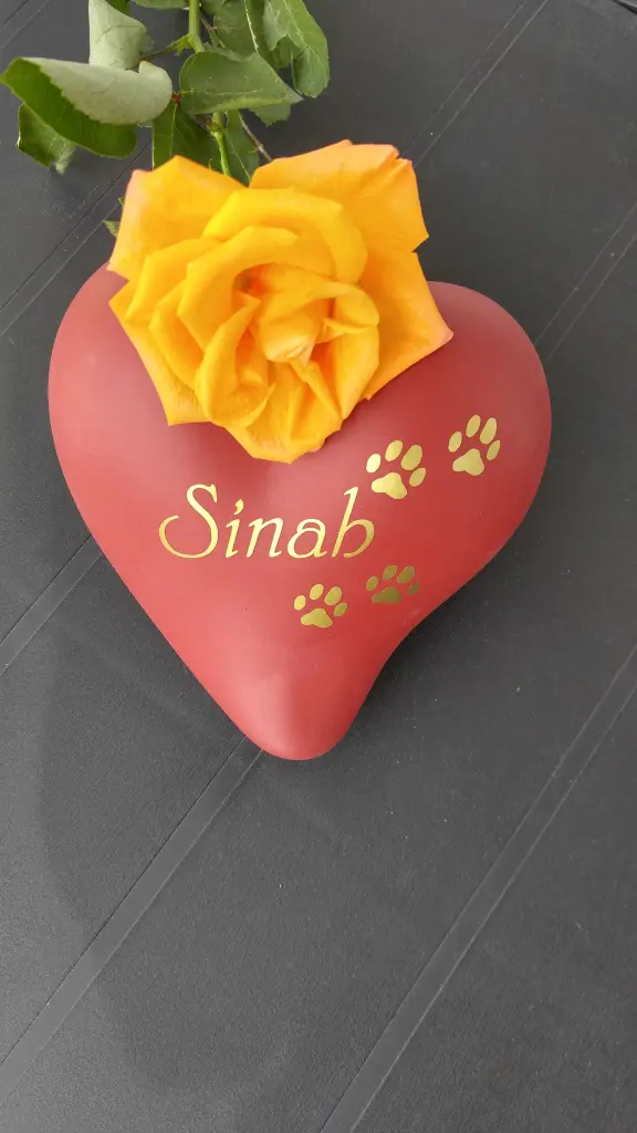 Image from Sinah