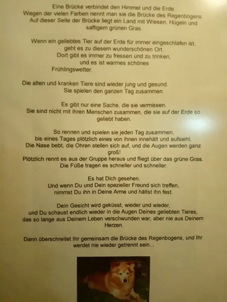 Condolence image of Ilona  Kramer